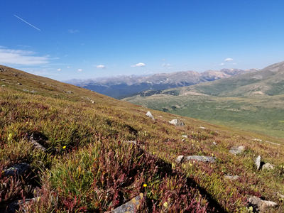 Mount Bierstadt (31).jpg